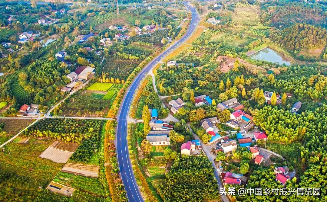 乡村振兴产业方面存在的问题,乡村数字化建设赋能产业振兴