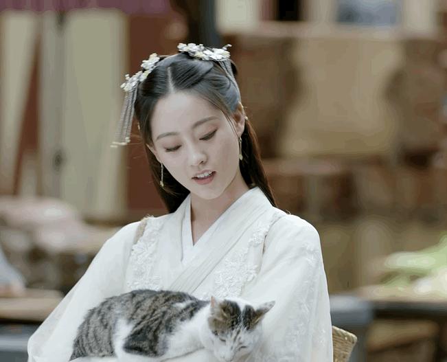 盘点猫咪高能名场面 (猫咪10大最萌镜头)