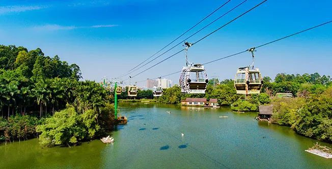 长隆野生动物世界营业时间,广州长隆野生动物园要玩多久