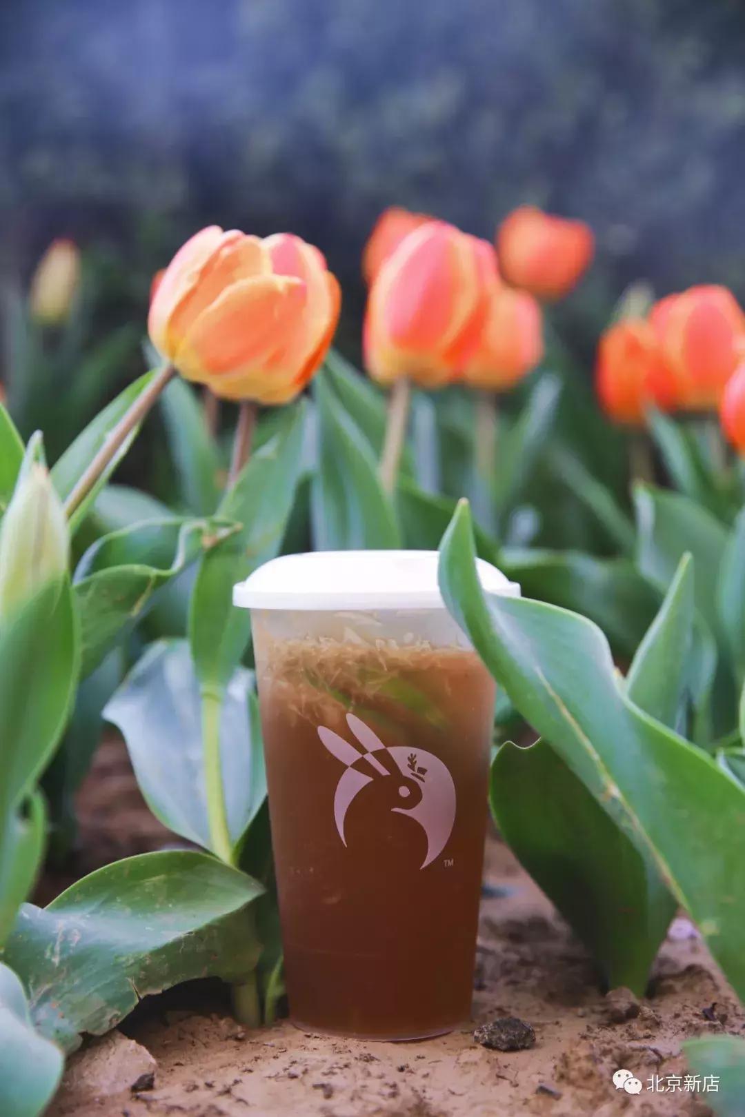 望京附近的老北京铜锅涮肉,老北京铜锅奶茶