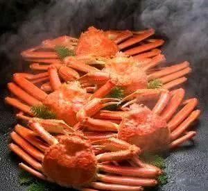 世界上最有趣的十种动物,世界上有趣的动物有哪一些