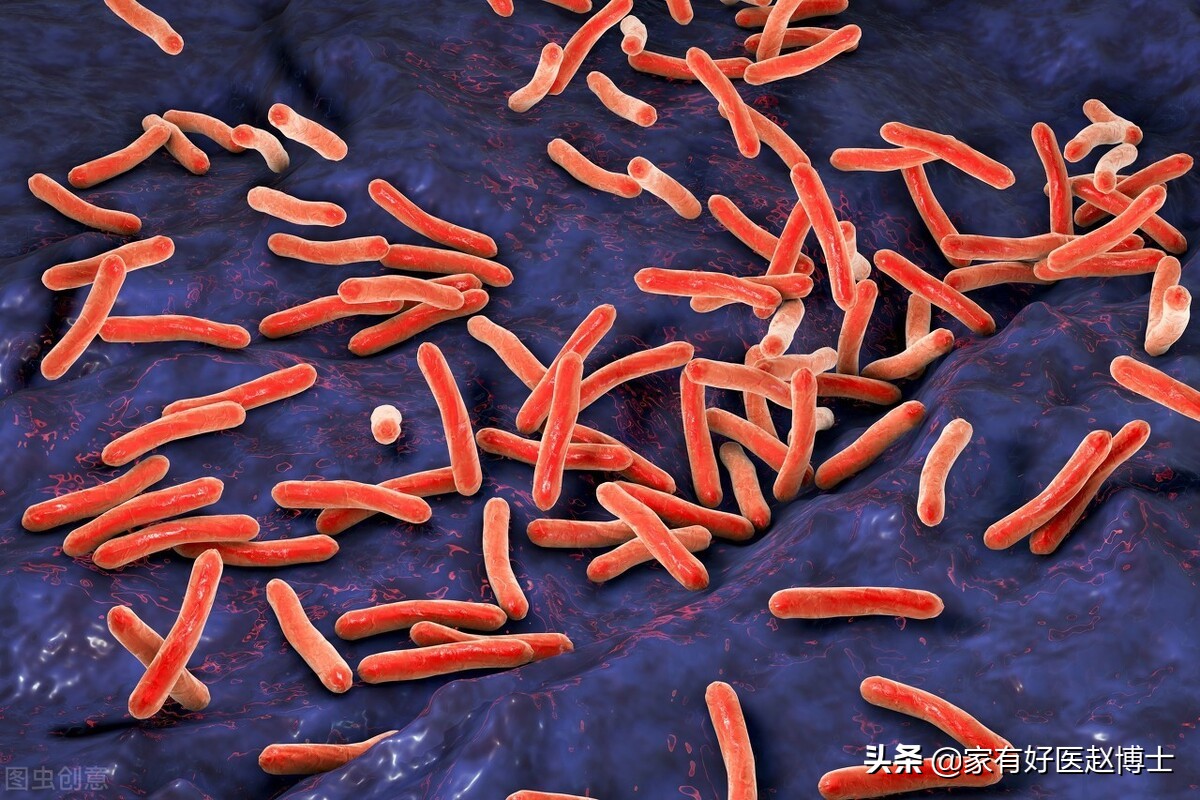 尿频、尿急、尿痛！尿路感染为何女性高发，预防与用药有何讲究？