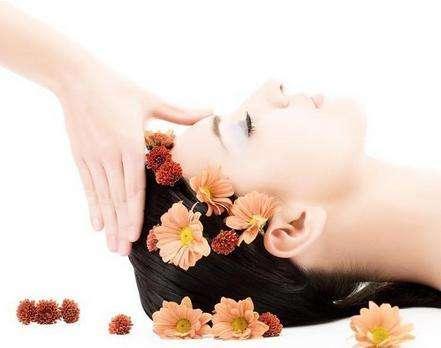 找美网官网,找美网