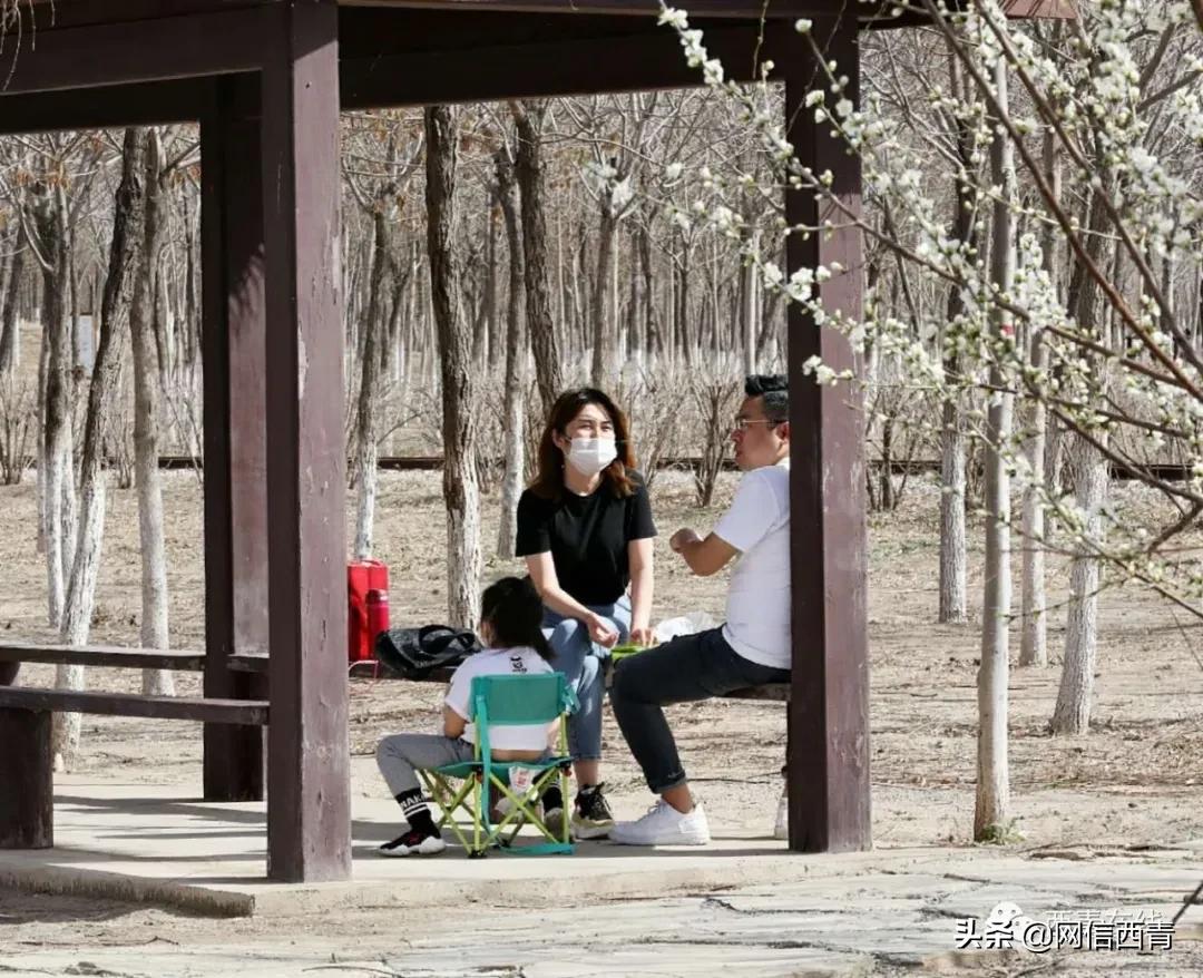 天津12座公园建成开放,2020天津已开放的郊野公园