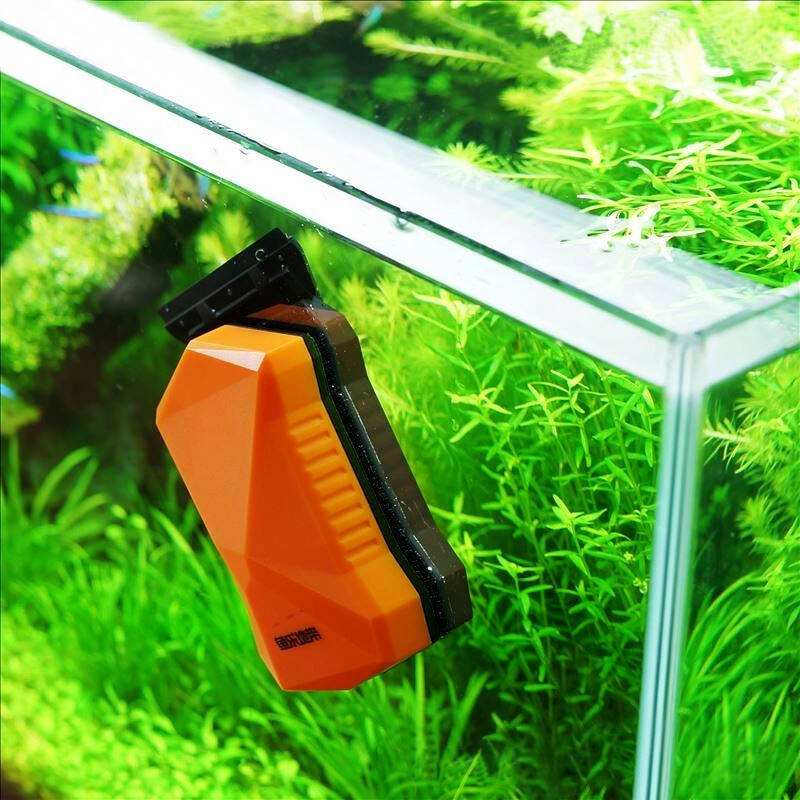 清除鱼缸绿藻的工具,除藻剂可以去草缸玻璃上绿藻吗