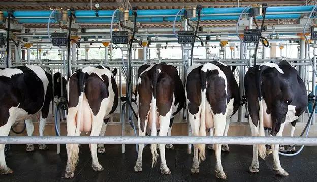 全世界最奇葩的税,各国奇葩税收对比