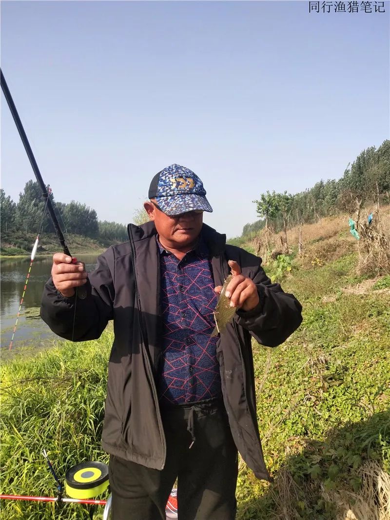 2019钓鲫鱼视频全集,钓鲫鱼的笔记