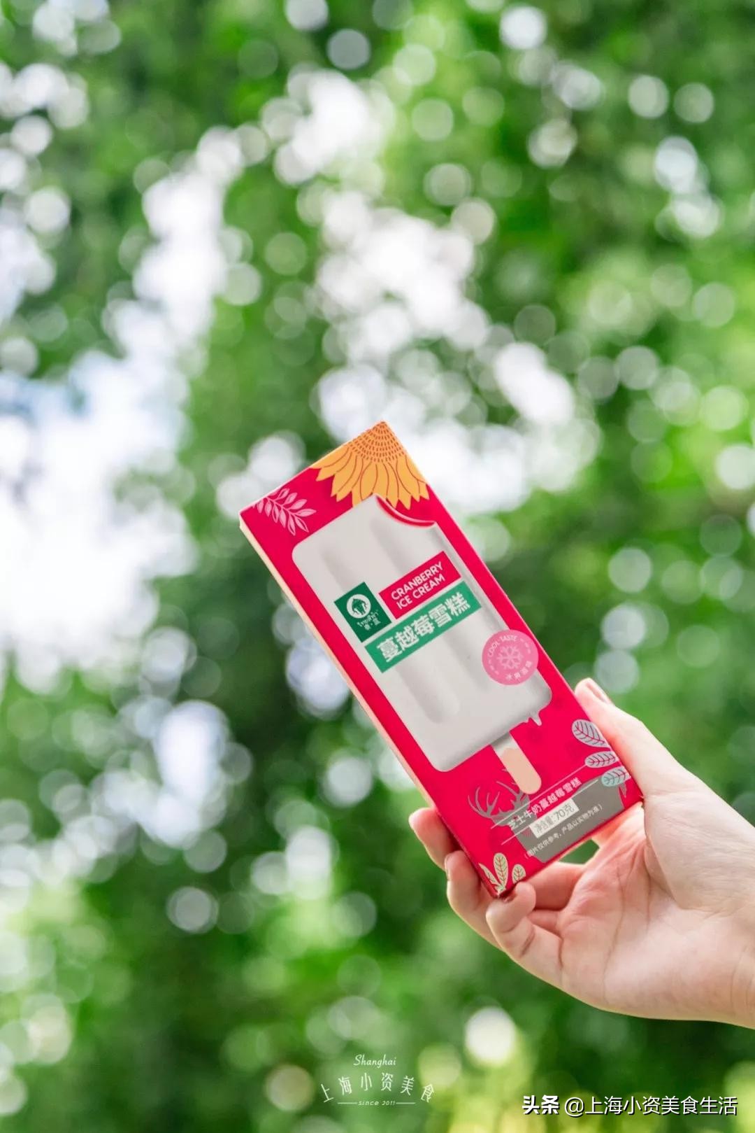 国内崛起的雪糕,中国风网红雪糕