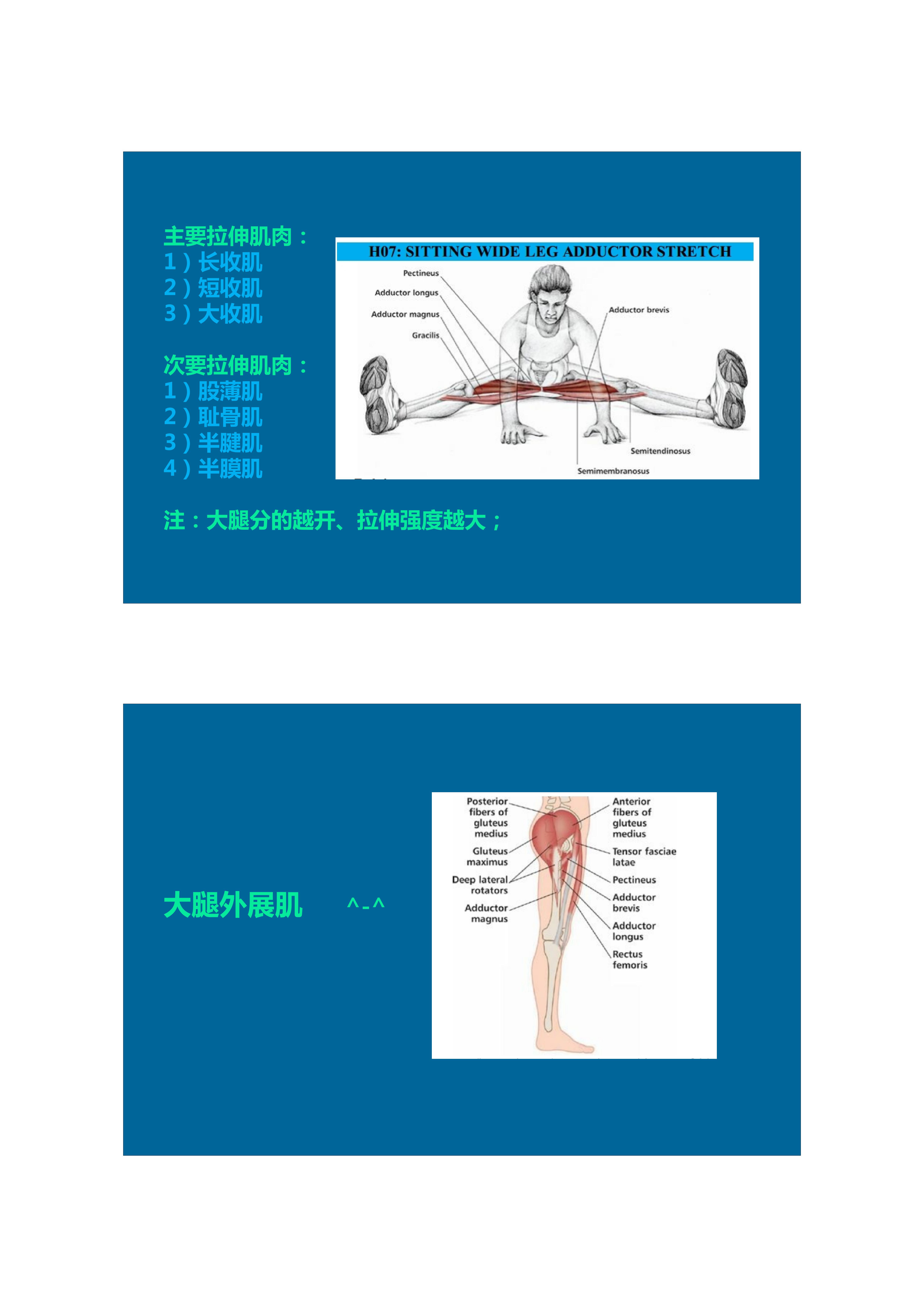 1分钟拉伸动作视频,拉伸腿部技巧