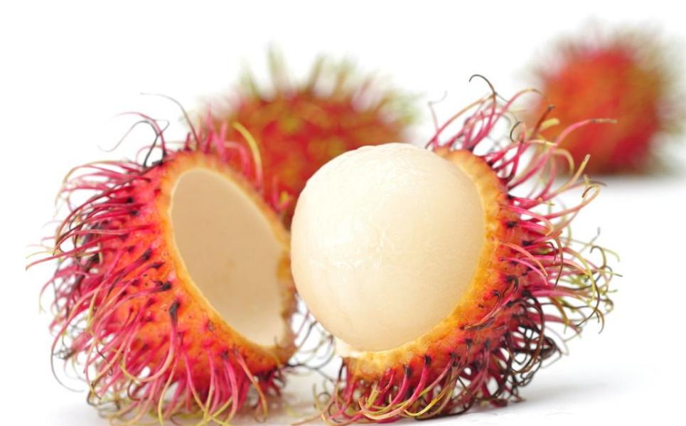 红毛丹属于上火还是降火,红毛丹是热性的还是性凉的