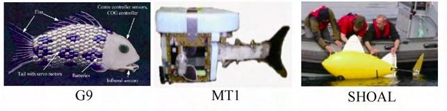 鱼为什么会游泳30字,鱼为什么会游泳
