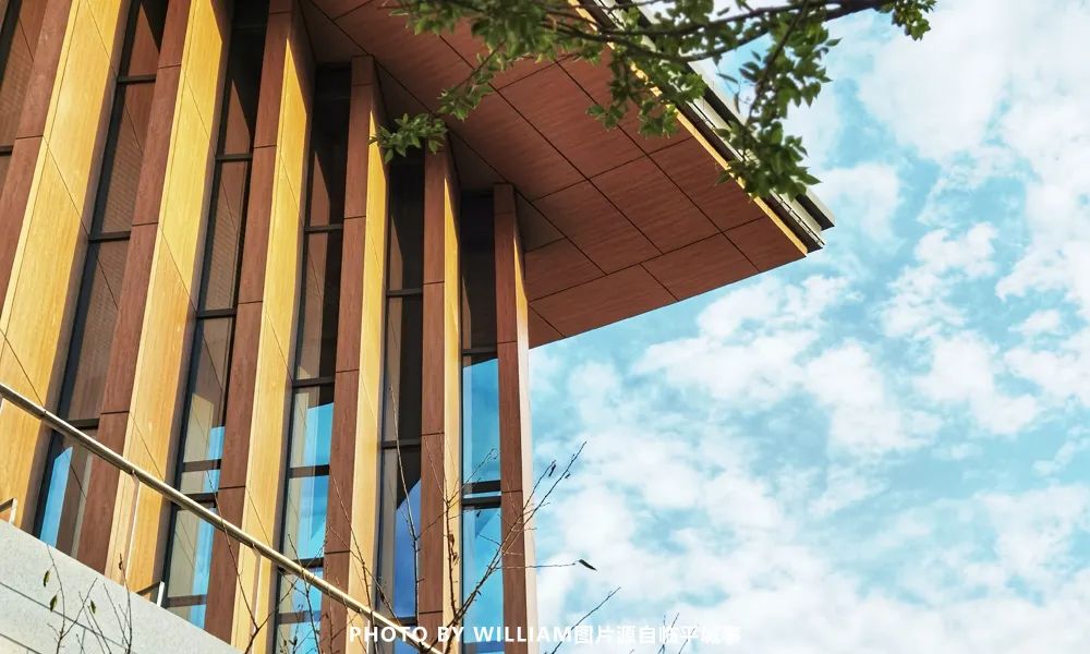 临平休闲运动公园,临平运动休闲公园免费吗