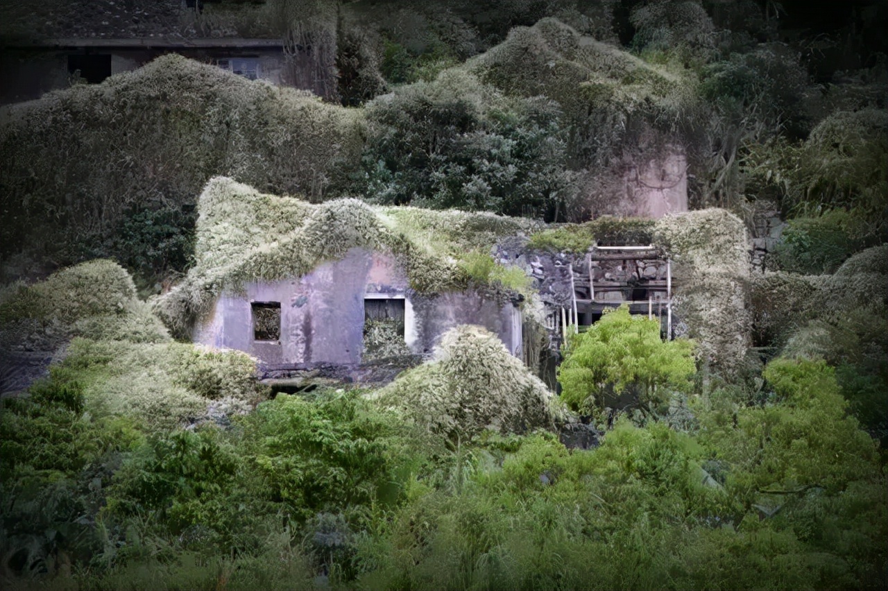 苍南千年古村旅游攻略,苍南十大最美村庄