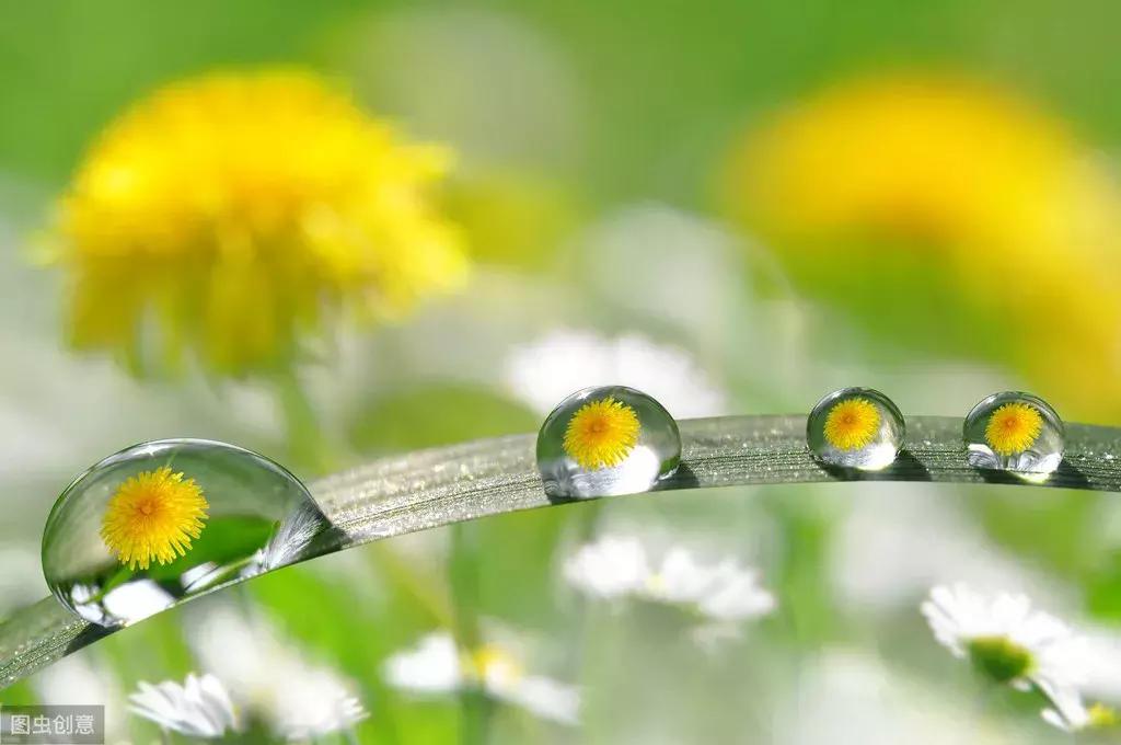 信泰完美人生守护尊享版,信泰保险完美人生守护重疾险