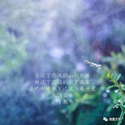 满目山河为故人,满目山河皆故人