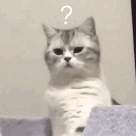 十大最无法想象的黑暗料理,中国各种顶级黑暗料理