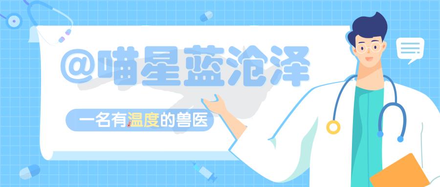 什么,乌龟居然也是保护动物?如何正确挑选一只美丽、安全的乌龟