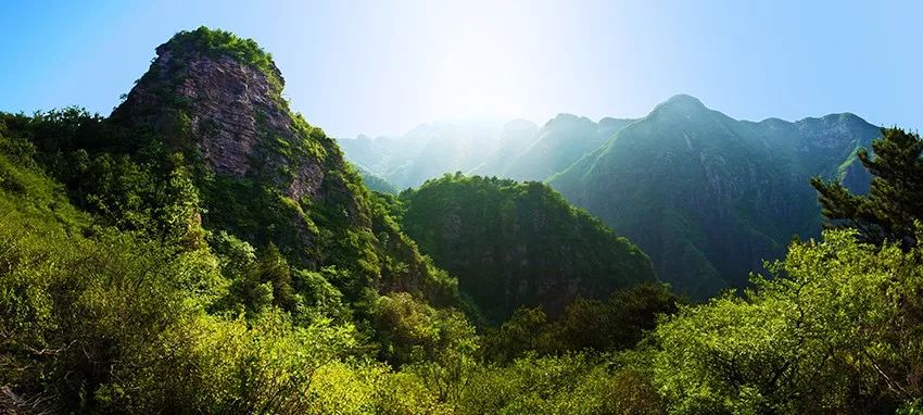 炎炎夏日躲树荫下才最凉快,远离城市喧哗清凉一夏