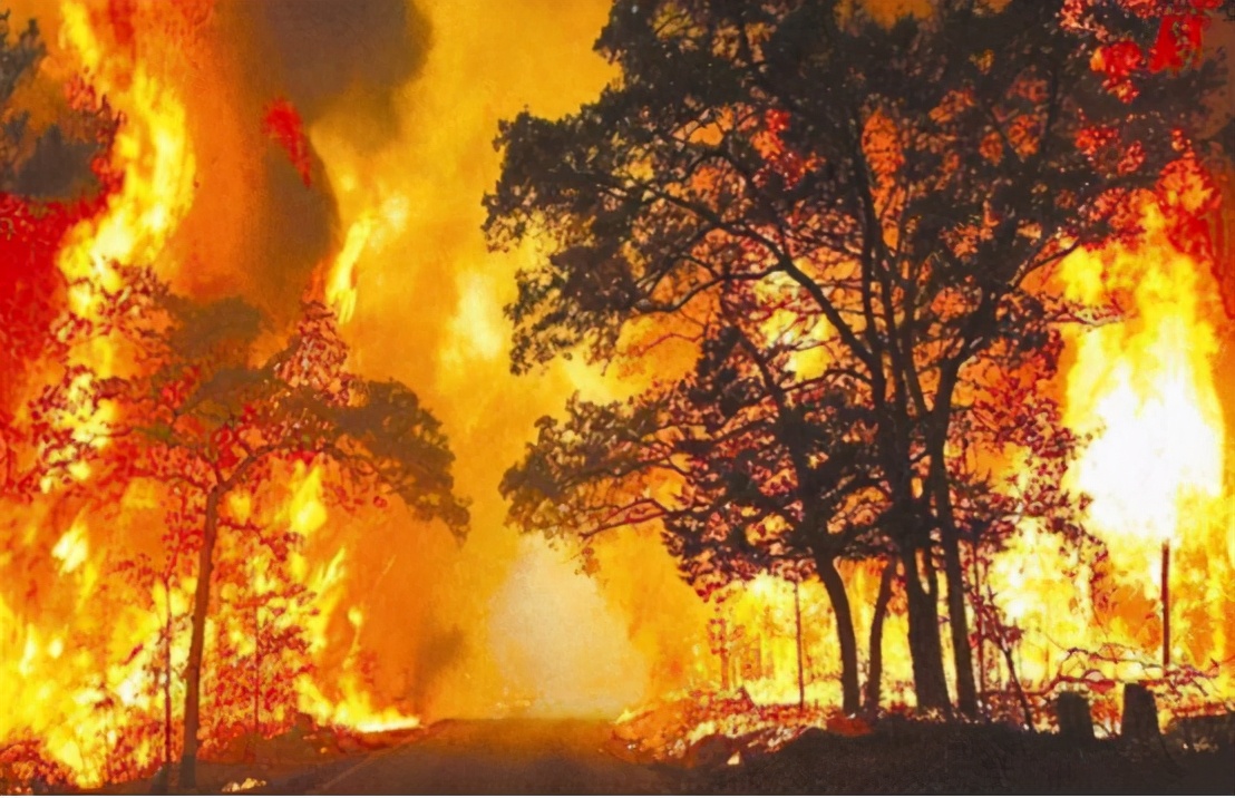 澳大利亚山火再次燃烧，火势已难以扑灭，祸根是4万年前留下的