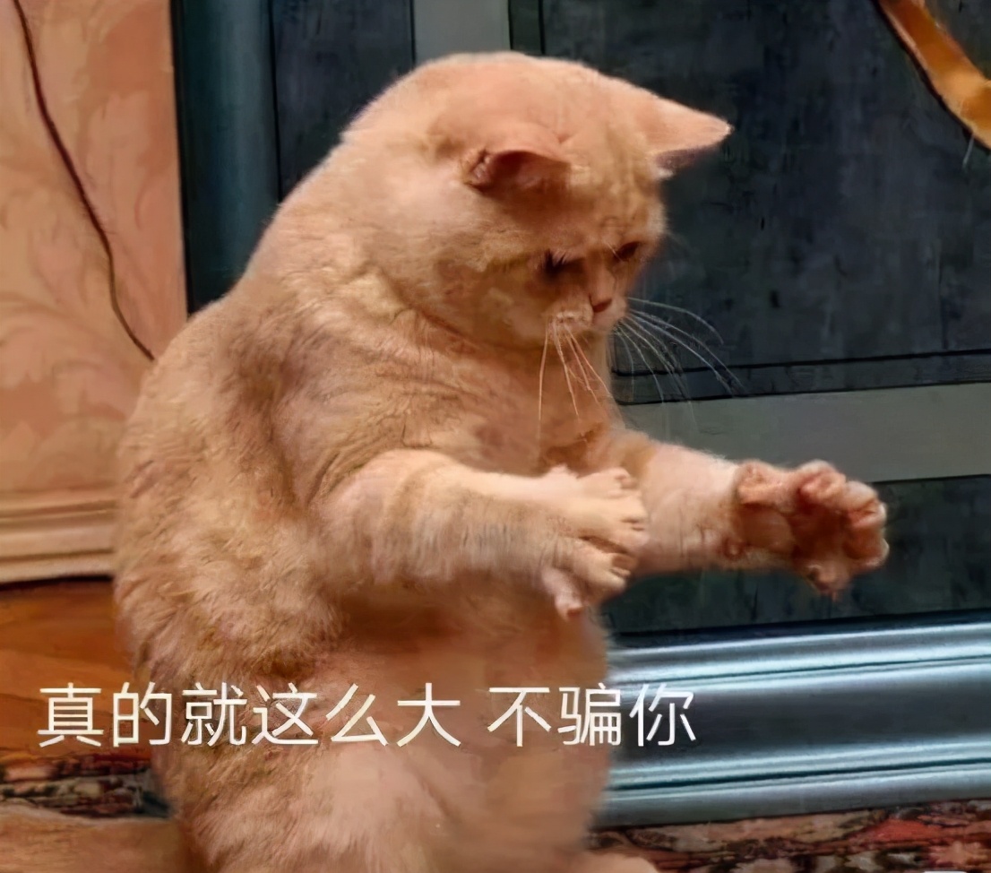 蜗牛音响iw4s10b评测,蜗牛iw4音响评测