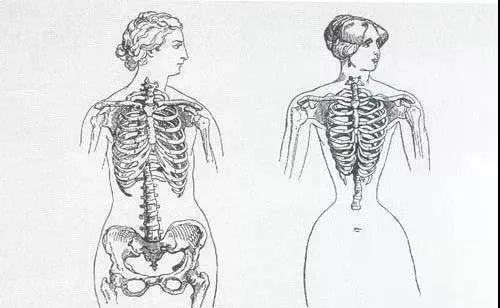“内脏下垂、子宫脱落、漏尿……”：扒一扒你不知道的网红束腰