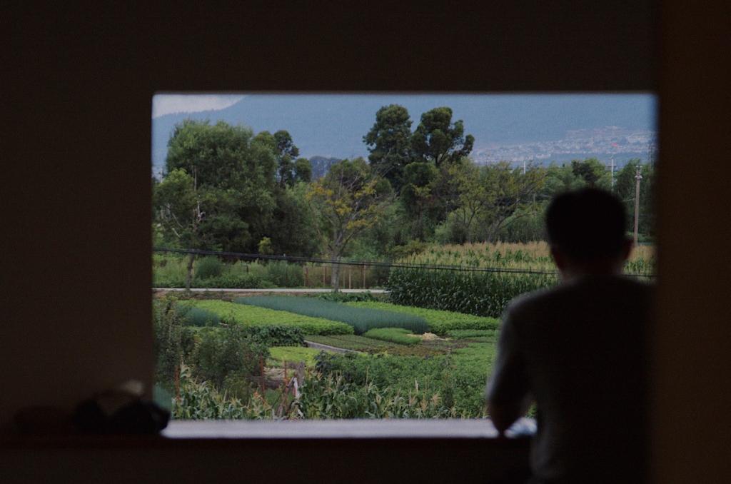 北大韦神被曝遭学生严重退课,被高估的北大韦神名不符实