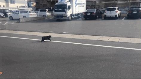 生活在福冈有什么好处,在福冈生活的好处