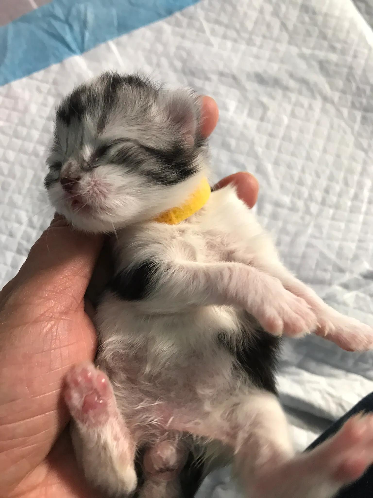 明天我的小屁屁要去深圳了