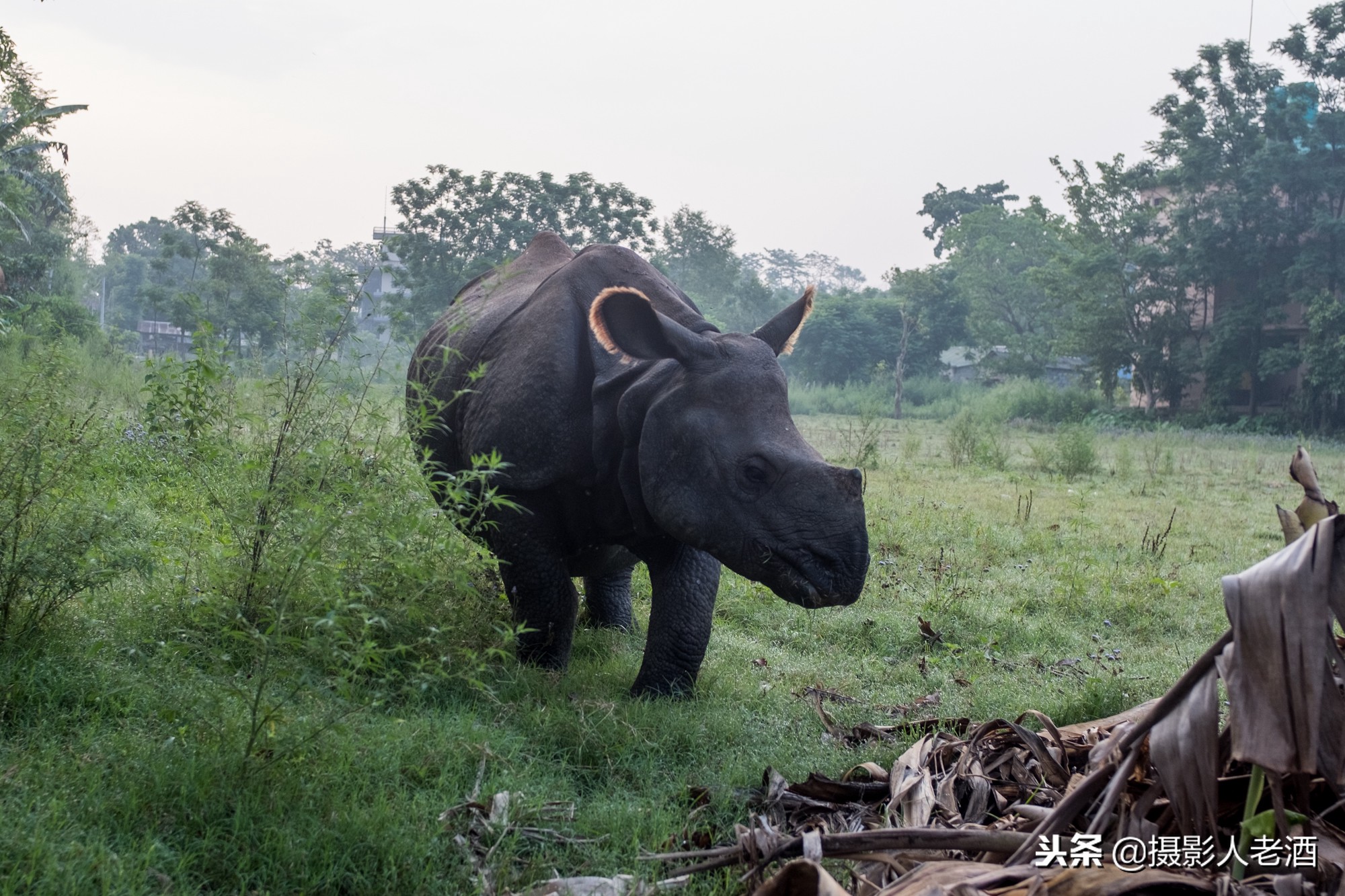 尼泊尔旅行攻略完整版,尼泊尔旅行攻略完整版免费
