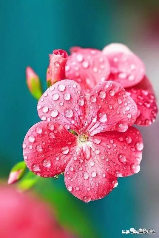 大年初三群相册，有群的都看看，太美了，这辈子见一次值了