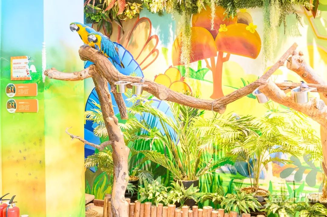 大连么么哒动物园 (大连小众动物园)