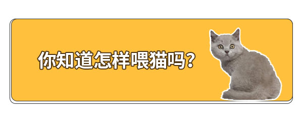 把猫喂馋了怎么办,刚出生的猫怎么喂