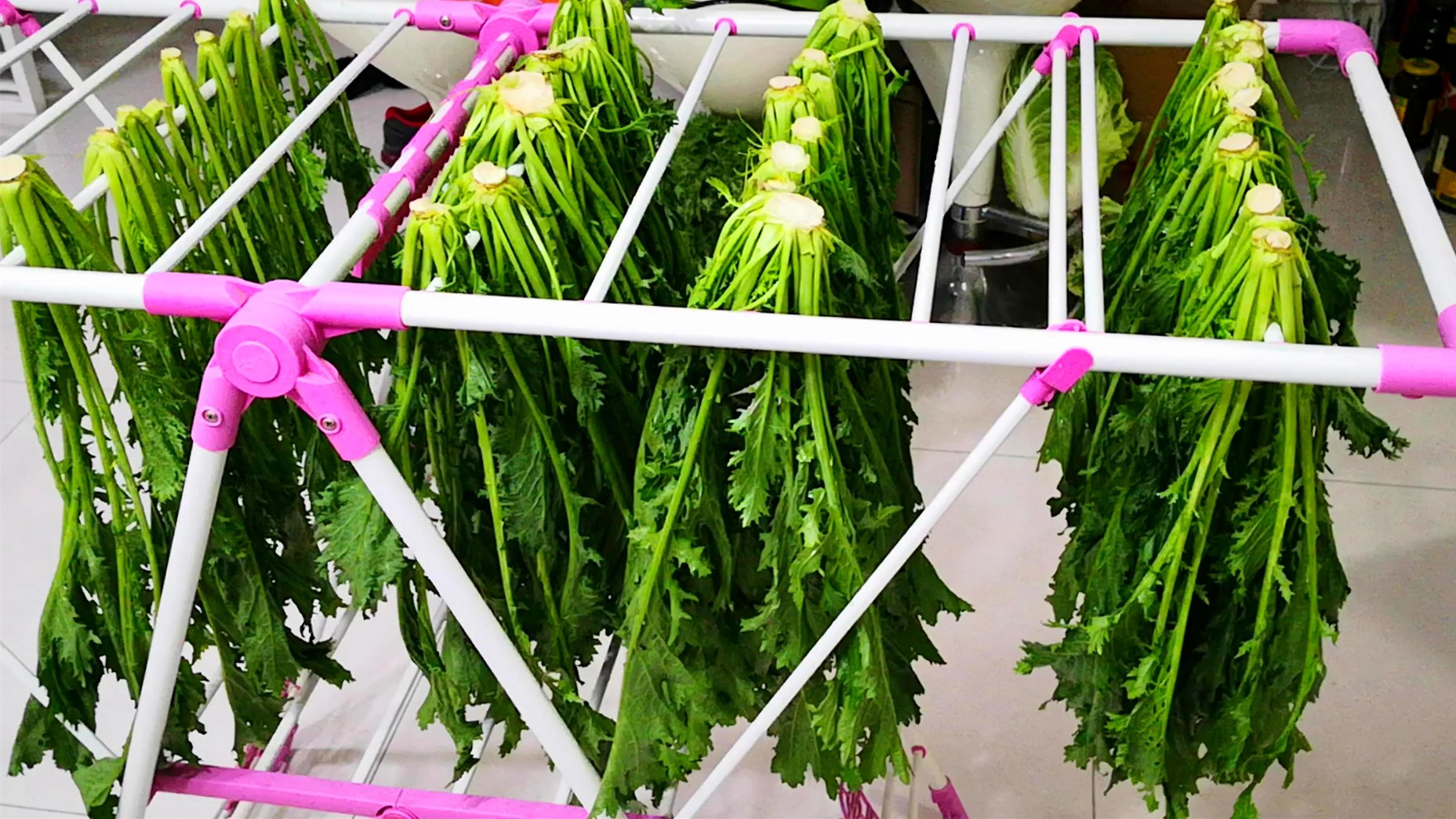 奶奶用了30年的腌蒜秘方,奶奶留下的老秘方