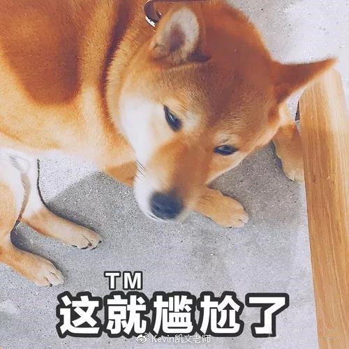 美妆爆款吐槽,美妆网红爆款产品有哪些