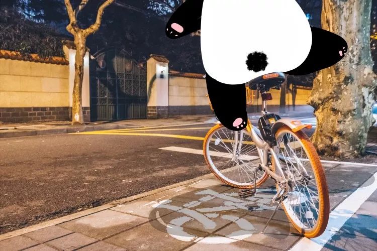 这只成都神兽包揽了多个全国第一，竟然还要被催婚？