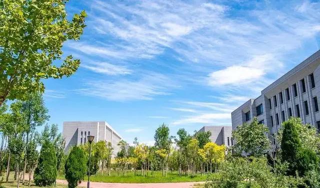 教育学311考研考哪些科目,教育学311考研大学排名