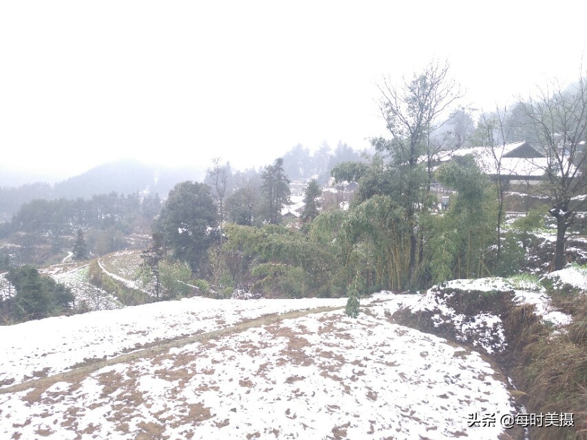 那一声声画眉啼脆惹人醉