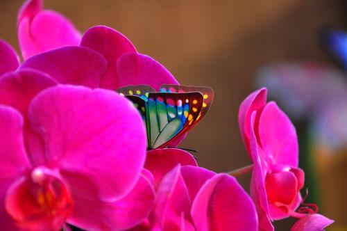 票据的基础知识,什么是瑕疵票据