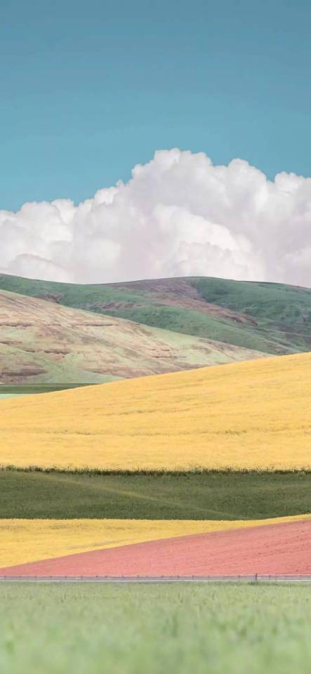 高质量vx朋友圈背景图片,vx聊天背景左绿右白