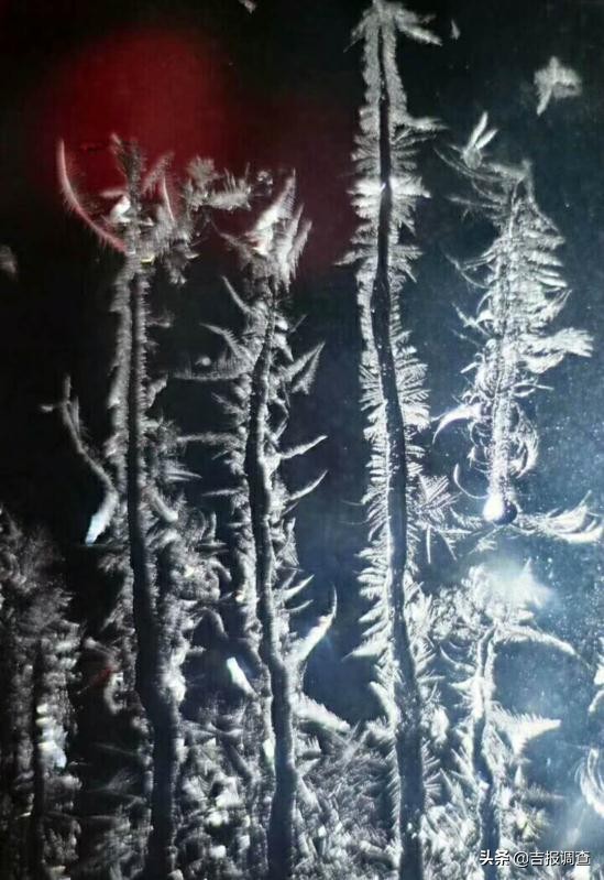 清晨玻璃窗上结满了霜花,唐古拉玻璃窗上的霜花