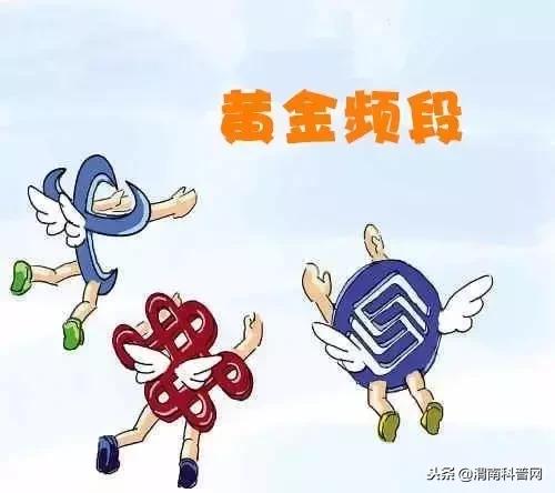 涨知识500条,涨知识50个基础