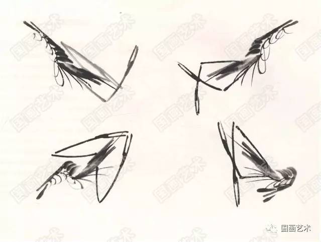 国画用胶矾水画虾技法,娄师白画虾技法视频
