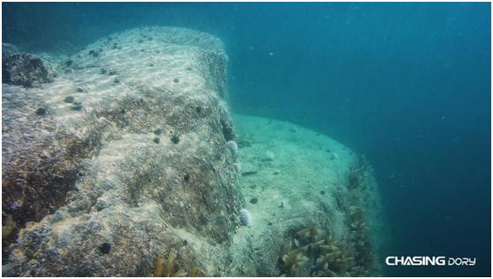 潜行多睿二代,潜行多睿值不值得买