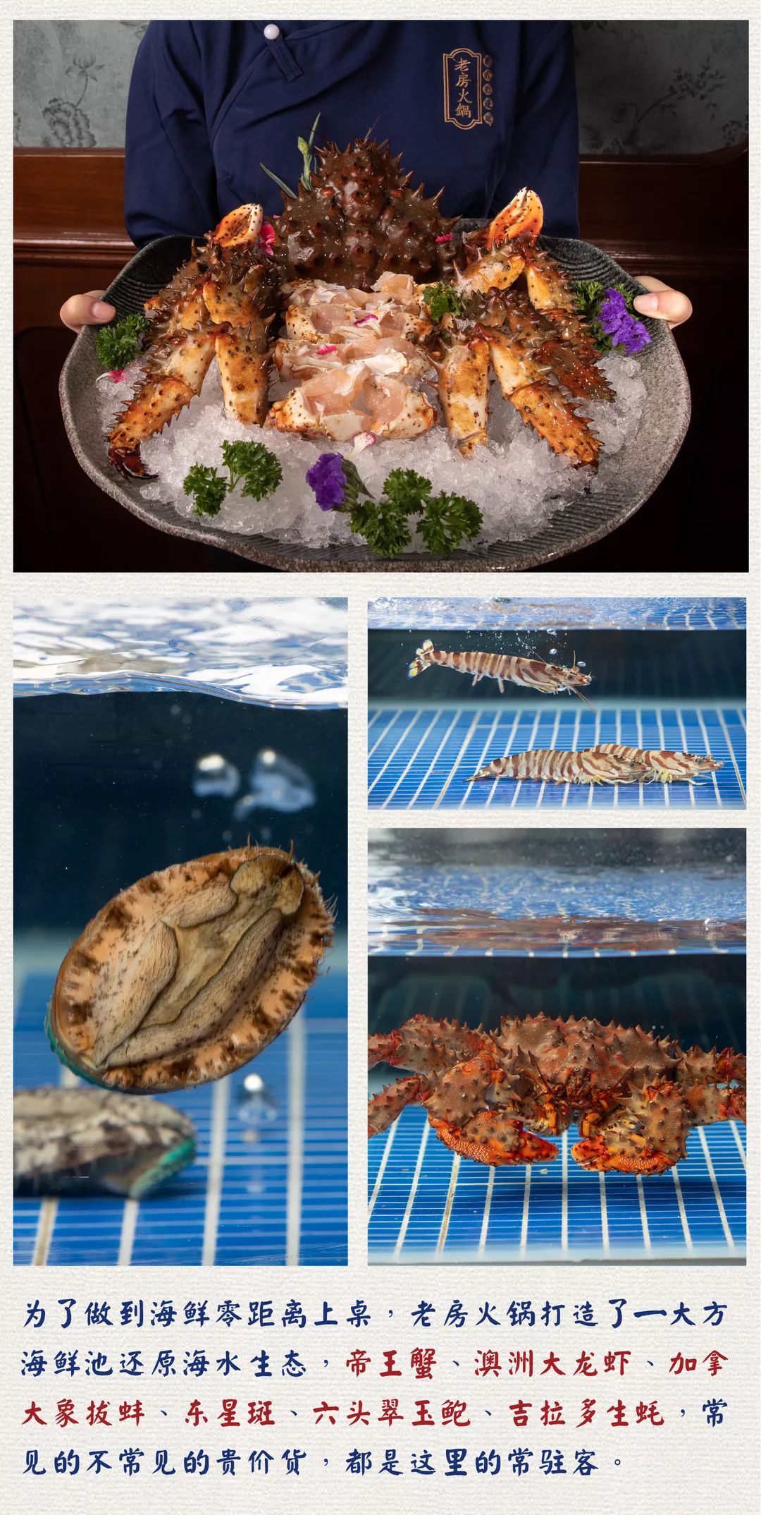 厦门港式花胶鸡火锅,港式花胶鸡锅