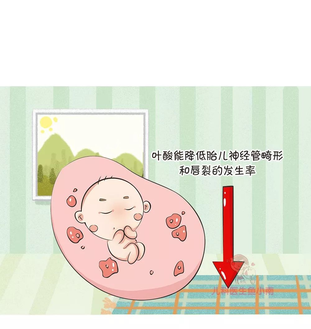 准妈妈们补充叶酸的不二选择,叶酸补多了真的会导致胎停吗