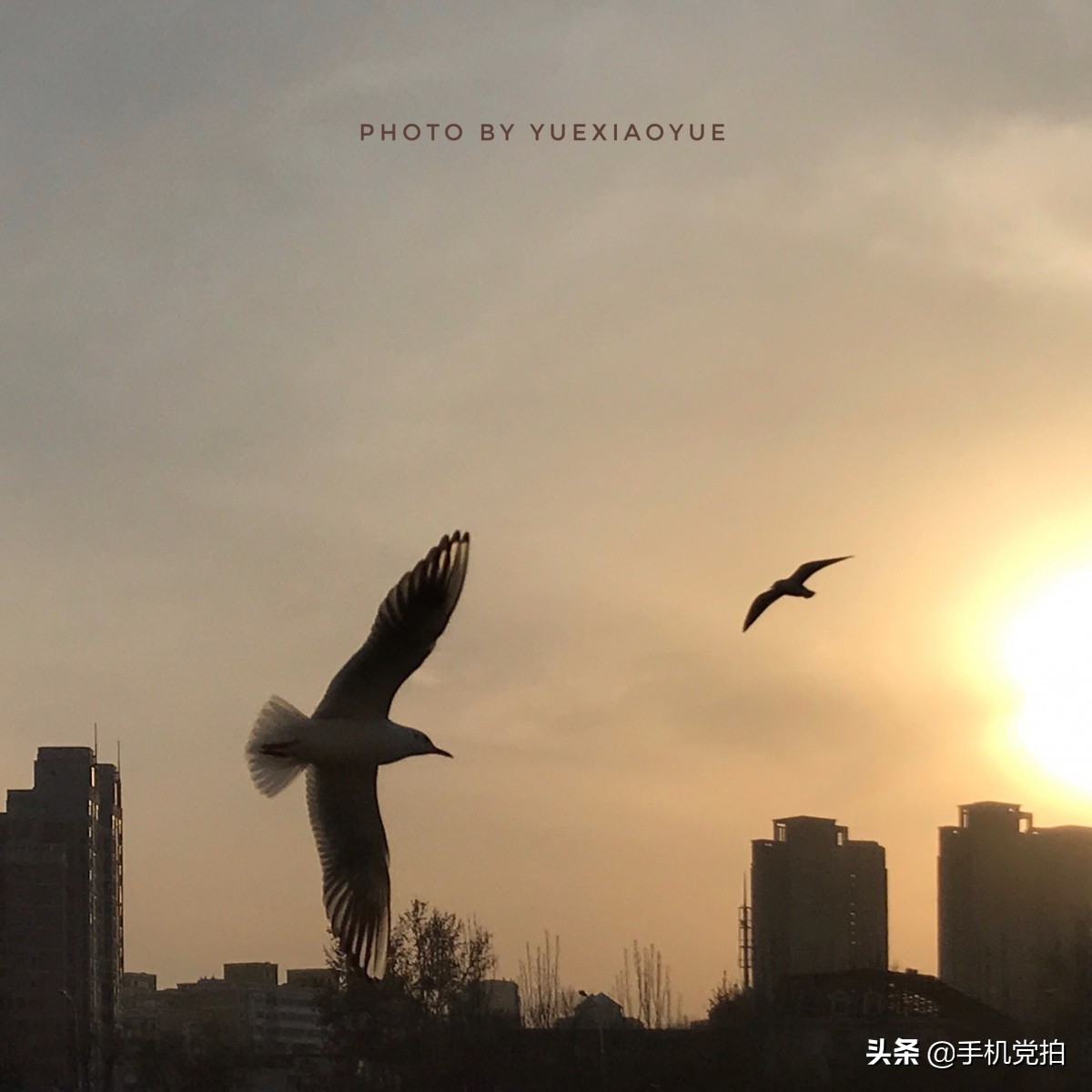 手机拍照逆光解决方法,手机拍照逆光怎么避免过曝