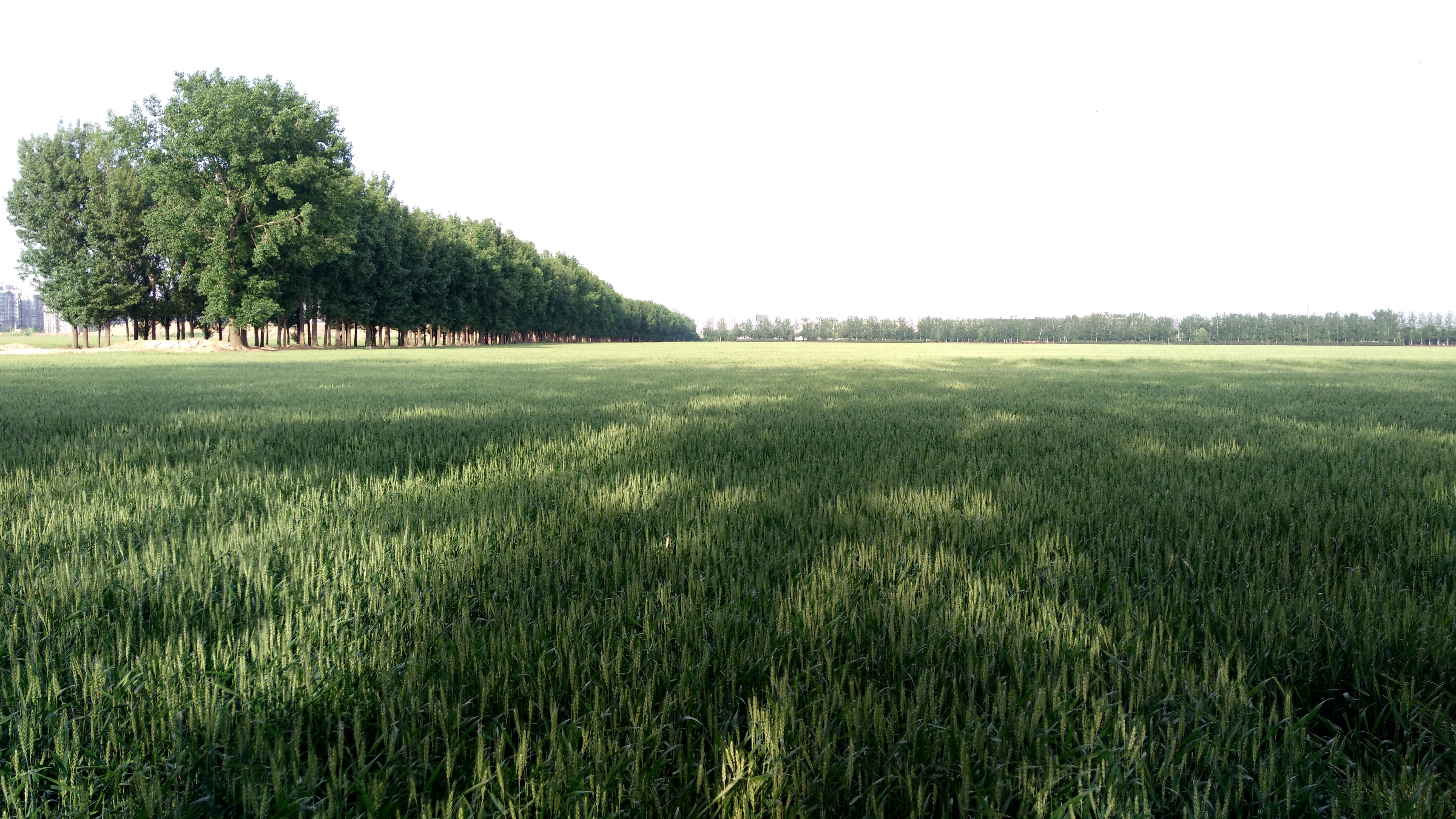 1366x768跟1920x1080区别很大吗,1366x768是超清吗