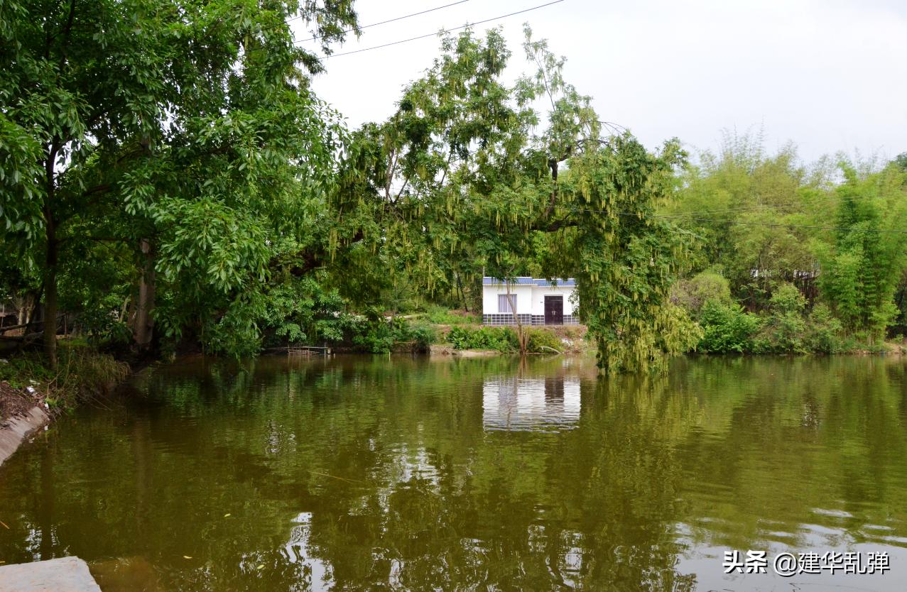 仁寿石咀的小石堰，浓浓的乡愁理不乱也剪不断