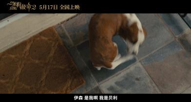 一条狗的使命2集锦,一条狗的使命2催泪片段