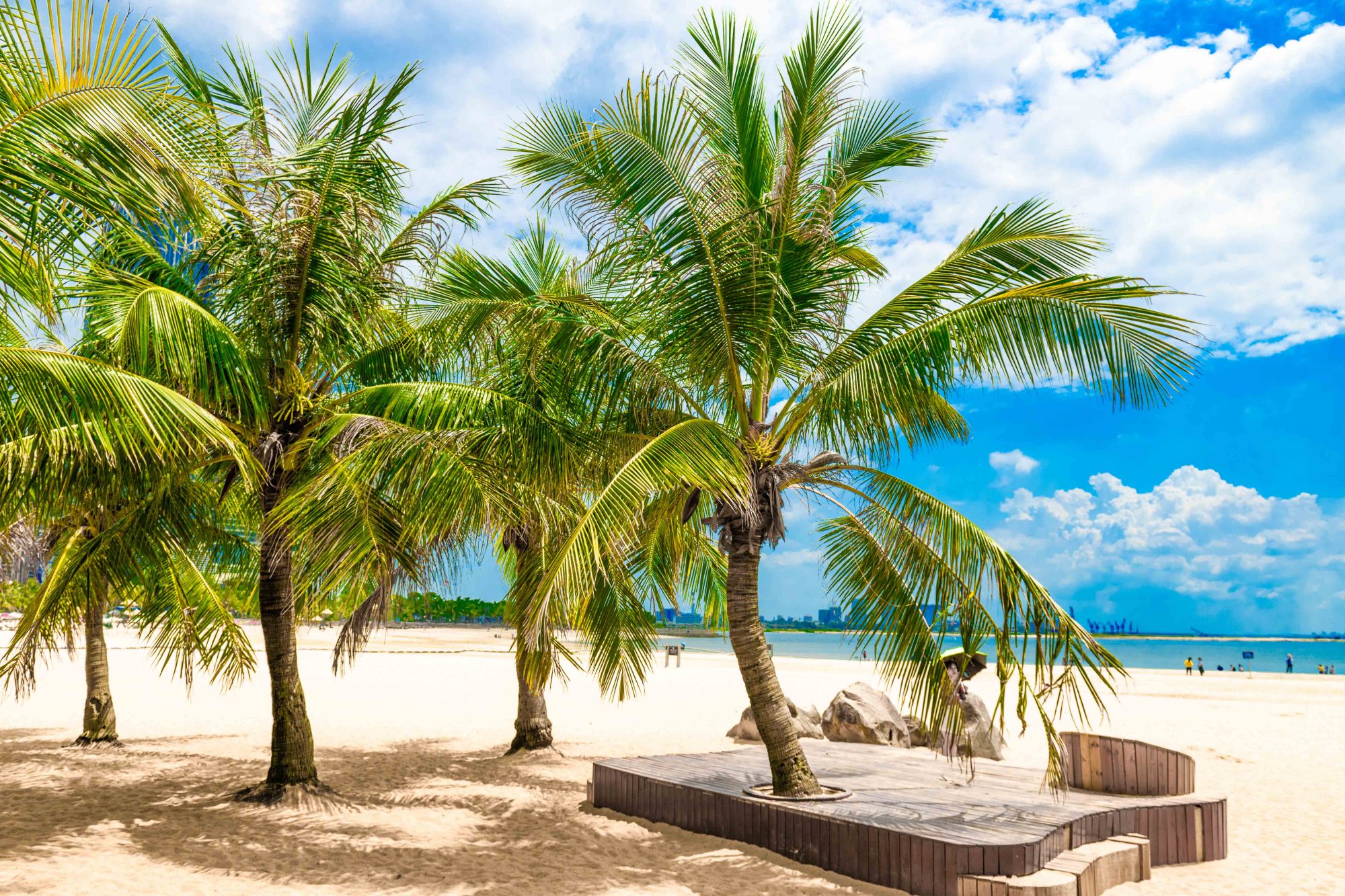 广东湛江特呈岛旅游介绍,湛江特呈岛海滩